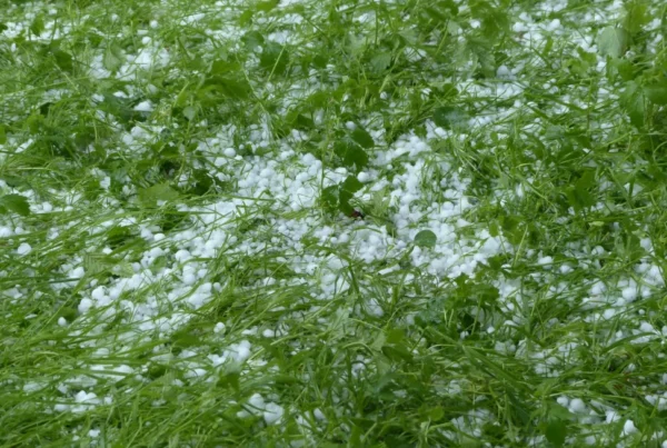 hailstones photo 1