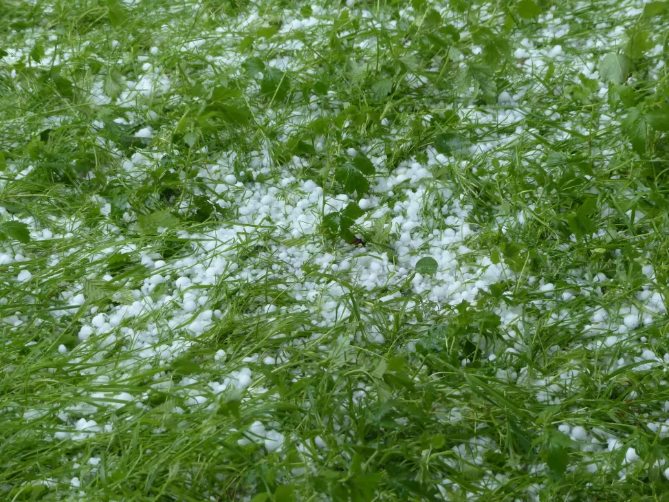 hailstones photo 1